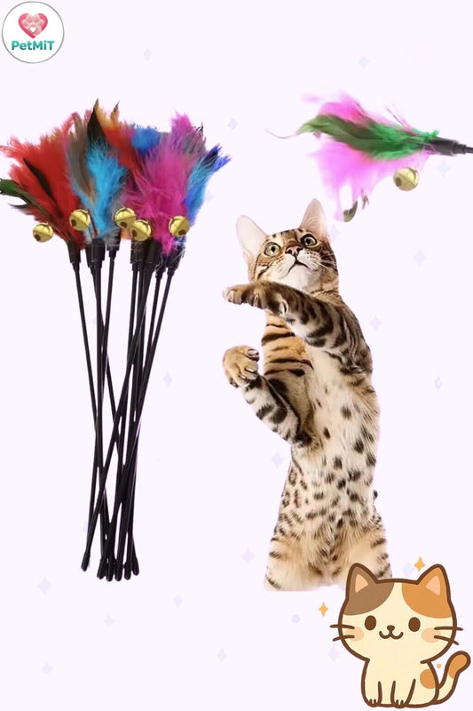 PetMiT DC01 Cat Toy – Colorful Feather Teaser Wand with Flexible Handle